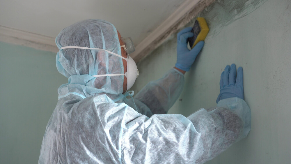 mold-remediation-services-northern-kentucky
