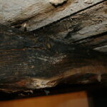 Breathing Easy: The Importance of Attic Mold Removal and How To Do It Right