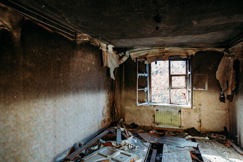 Leave It to the Experts: The Top Reasons To Choose Professional Fire Damage Restoration
