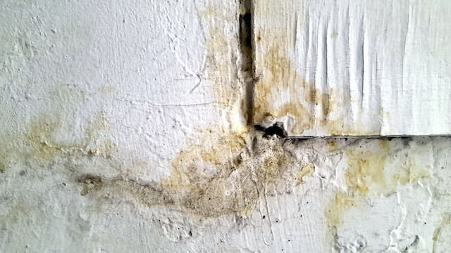 A picture of mold in a home in villa hills kentucky