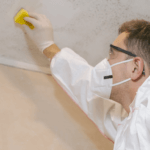 Mold Cleaning Services: Restore Your Home’s Health
